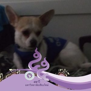 Meet your Posher, Sonia